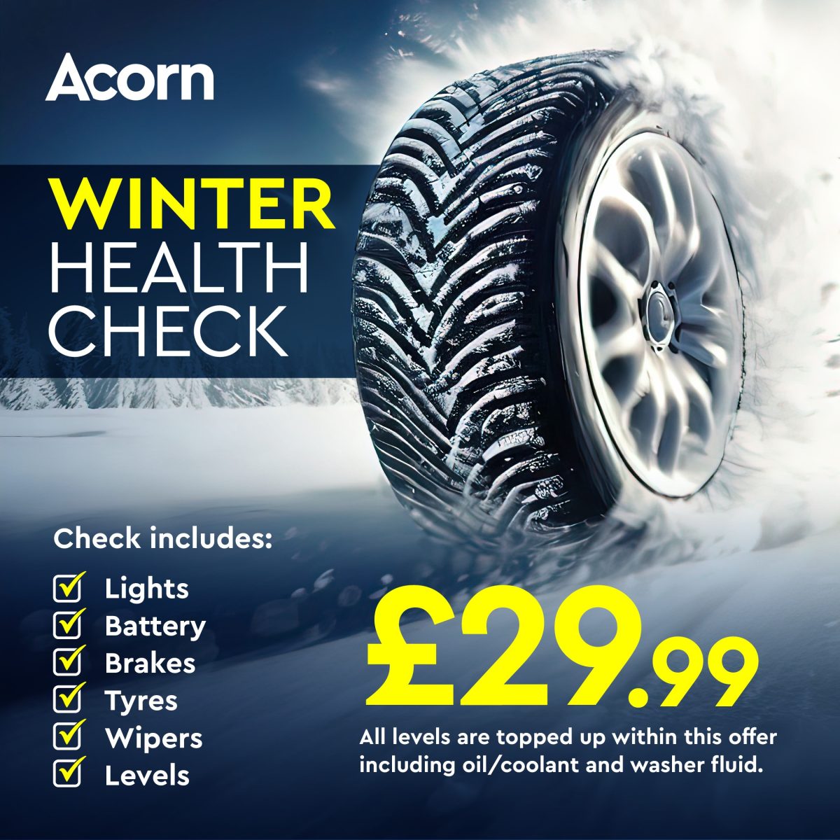 Winter Health Check for just £29.99